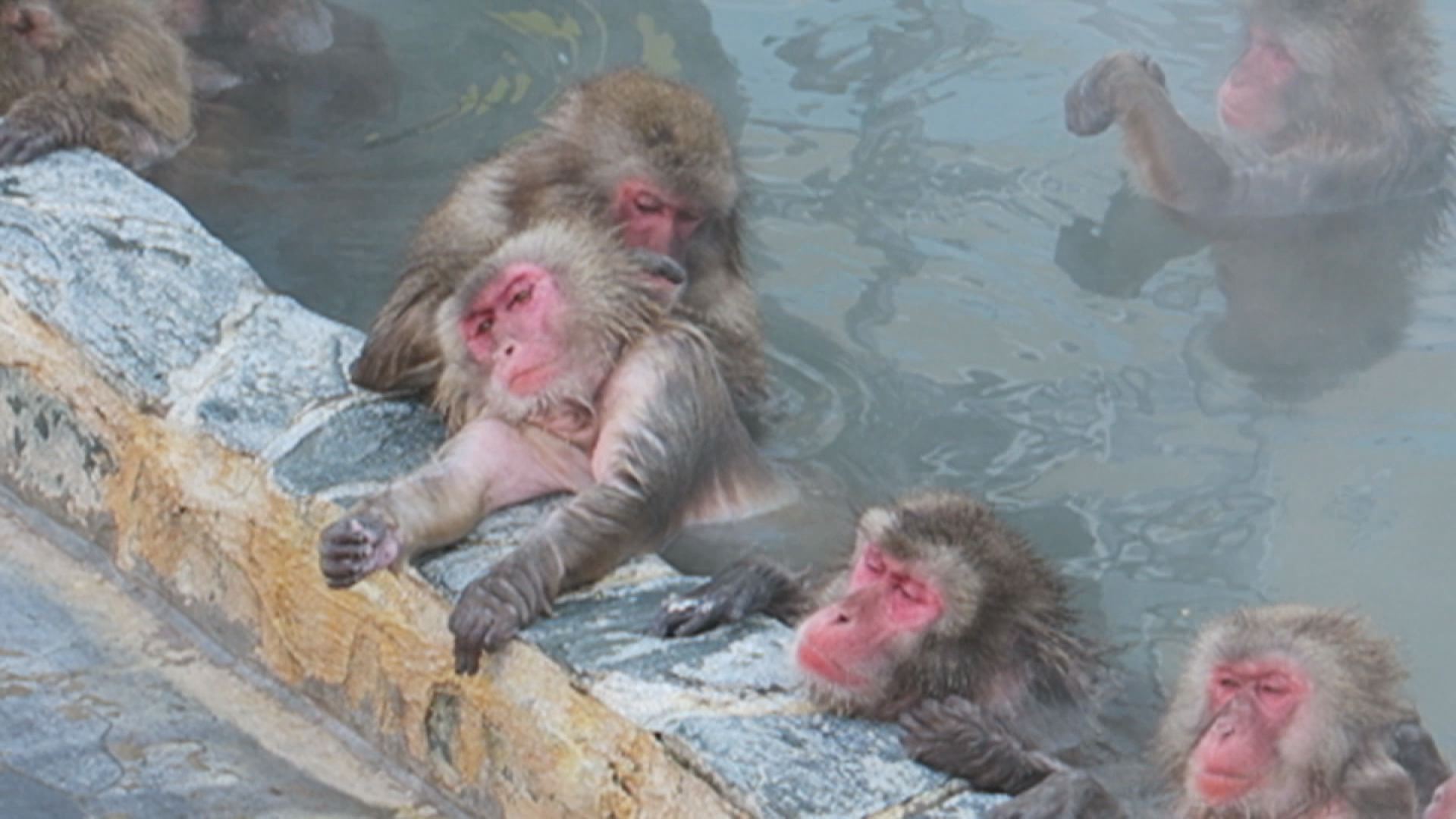 6月26日は露天風呂の日？1987年に岡山県湯原温泉が制定したとの事。