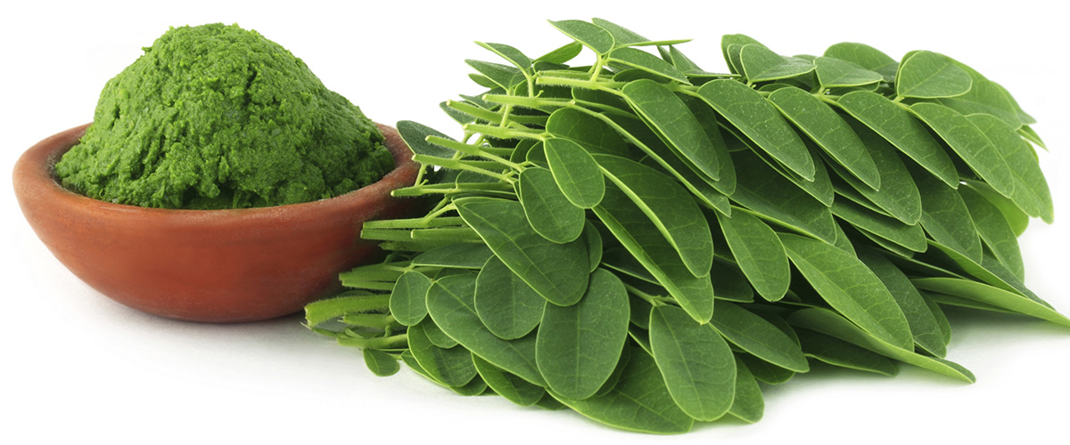 Moringa