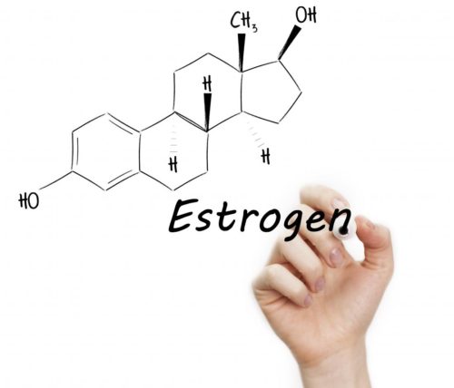 Estrogen