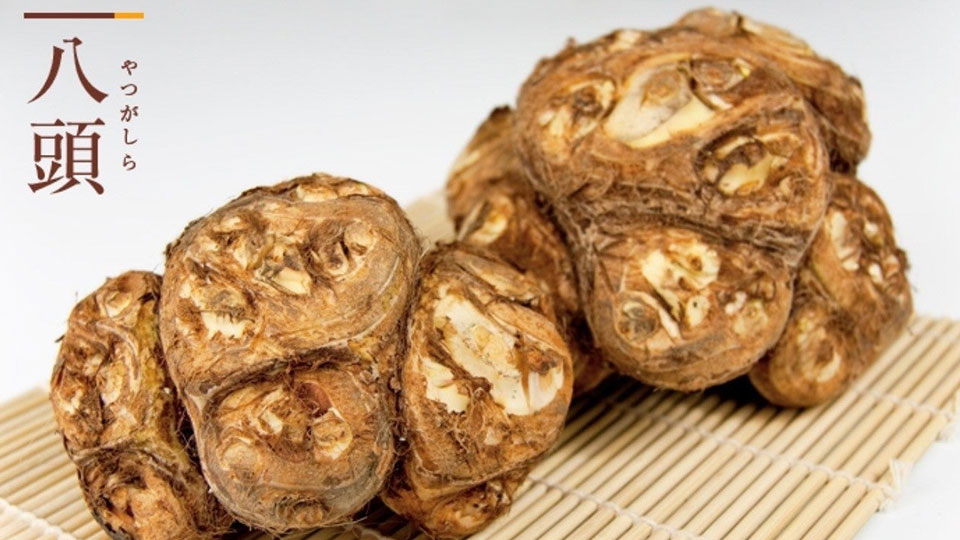 やつがしら とはどういう意味 漢字で 八頭 と記述するとの事 Topic Yaoyolog