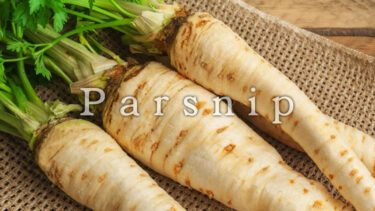 「パースニップ」とはどういう意味？英語で「Parsnip」と記述するとの事。