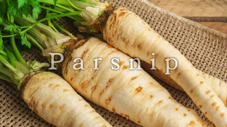 Parsnip