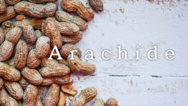 「アラシド」とはどういう意味？フランス語で「arachide」と記述するとの事。