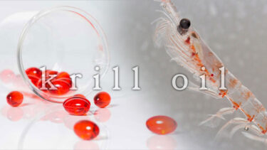 「クリルオイル」とはどういう意味？英語で「krill oil」と記述するとの事。