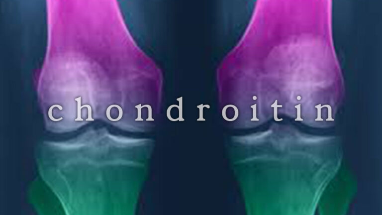 chondroitin