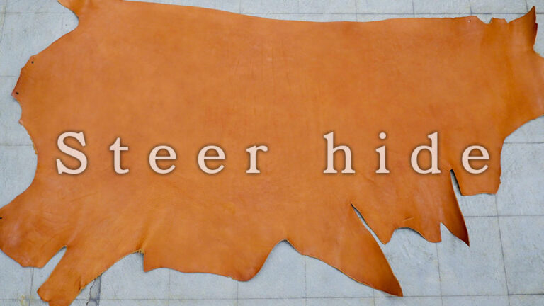 Steer hide