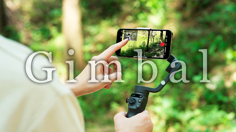 Gimbal