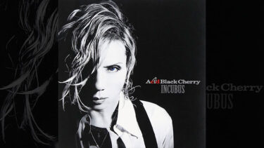 「アシッドブラックチェリー」とはどういう意味？アルファベットで「acid black cherry」と記述するとの事。