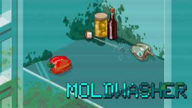 Moldwasher