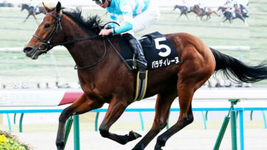 パラディレーヌ