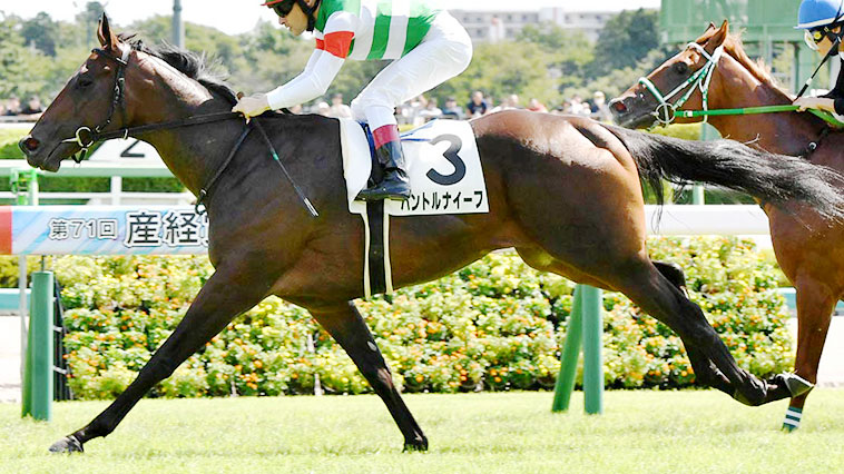 パントルナイーフ