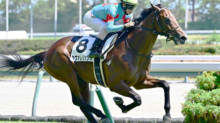 カヴァレリッツォ