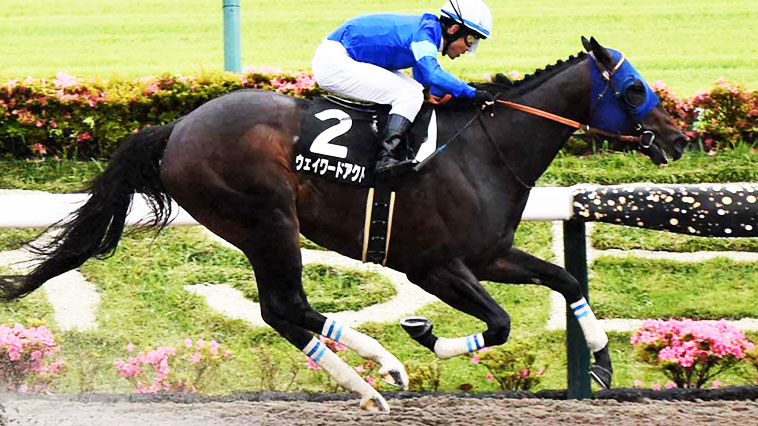 ウェイワードアクト