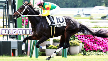 エコロディノス