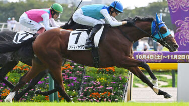 アドマイヤクワッズ