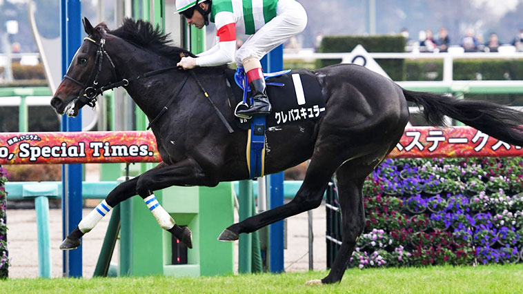 クレパスキュラー