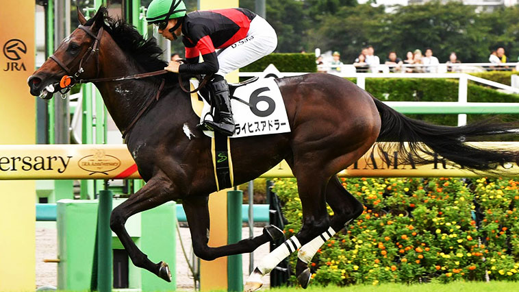 ライヒスアドラー