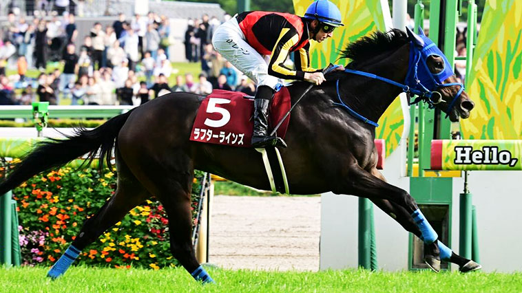 ラフターラインズ