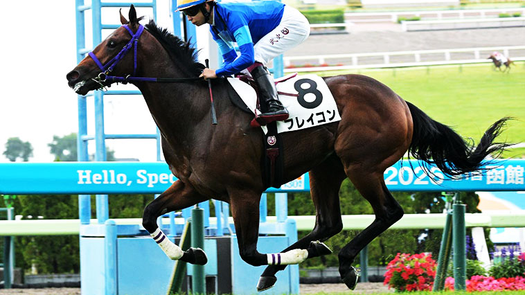 https://db.netkeiba.com/horse/2024100671/