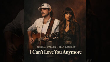 I Can't Love You Anymore